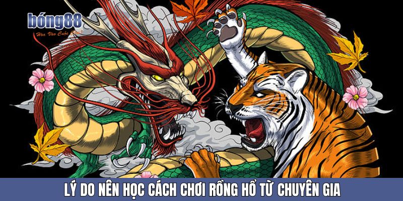 Lý do nên học cách chơi rồng hổ từ chuyên gia