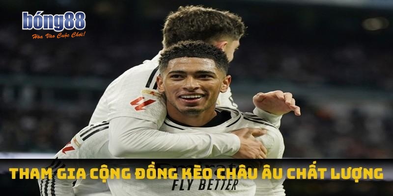Tham gia cộng đồng kèo châu Âu chất lượng